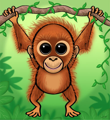File:Baby orangutan.jpg