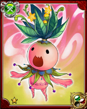 Mandrake N+