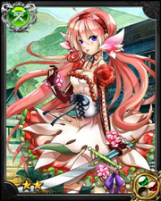 Rose Princess Marie NN+