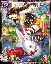 Inquisitive Alice