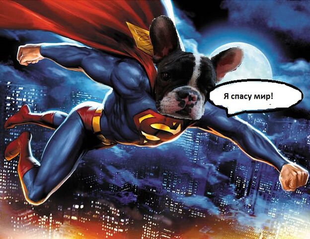 Файл:Superman-8.jpg