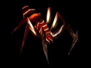 Spider larva