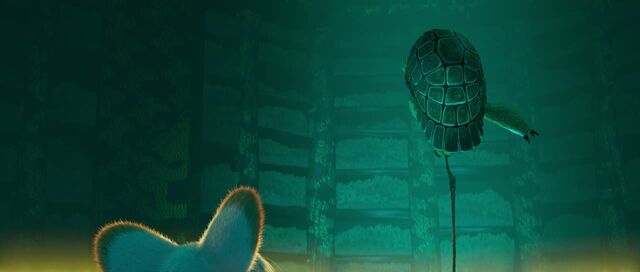 Datei:Oogway 3.jpg