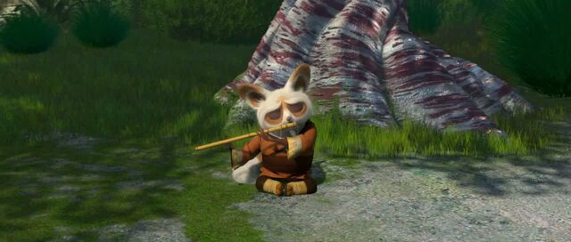 Datei:Shifu 1.jpg