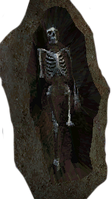 Esqueleto.png