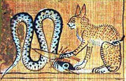 Apep
