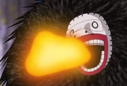 Katon zukokku