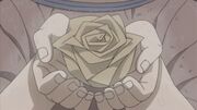 KonanBlume