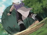 Chojivsjirobo3.png
