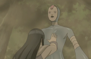 Hinatavsnurari3.png