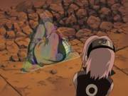 Narusakuvsarashi5.png