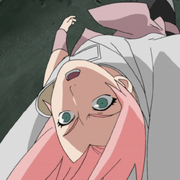 SakurasVorhaben01