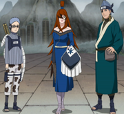 Teammizukage.png