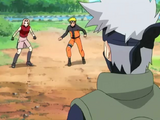 Narusaruvskakashi1.png