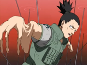 Shikavstayuya8.png