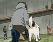Narutovskiba2.png