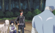 Hinatavsnurari5.png
