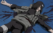 Hayatesleiche.png