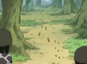 Shikaasumavsoto1