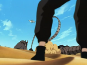 Kankurovssasori2