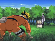 Narutovskimimaro.png