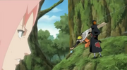 SakuraAnalysiert.png