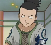 ShikamaruGenin.png