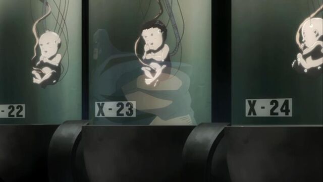 File:Baby X-23.jpg
