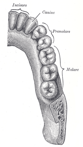 File:Gray997.png