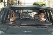 Hop Still2