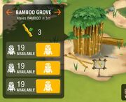 Bamboo grove