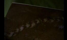 Tracks