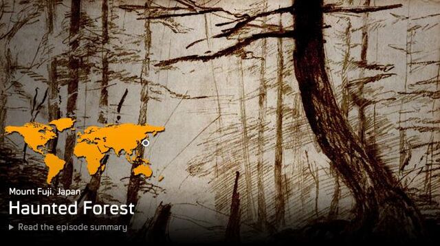 File:Haunted Forest.jpg