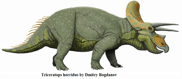 File:Triceratops horridus by Dmitry Bogdanov.png