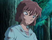 Shiho 700
