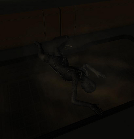 File:Zhao-body.png