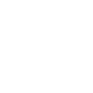 Carry 1.png