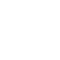 Carry 2.png