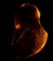 Thumbnail for version as of 05:32, October 27, 2010