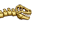 SkullRexA2