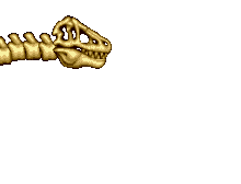SkullRexA3