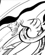 Manta