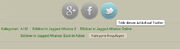 Social Icons groß