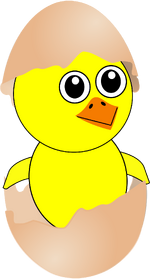 Küken