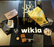 Wikia DA Giveaway.jpg