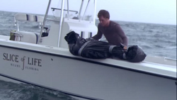 1x05 - Love American Style 18