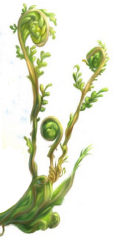 File:PossumFern.png