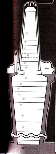 Blacrorderschema