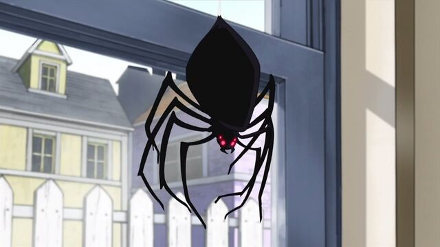 File:Widow spider.jpg