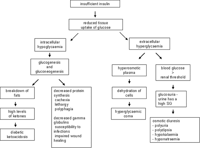 File:Pathophys.gif